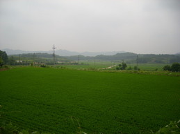 thumbimg