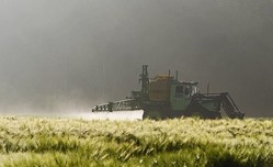 thumbimg
