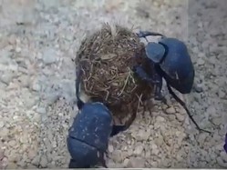 thumbimg
