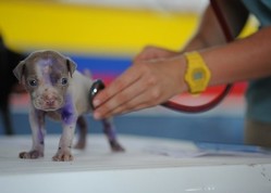thumbimg