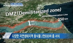 thumbimg