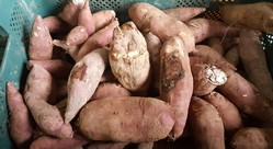 thumbimg